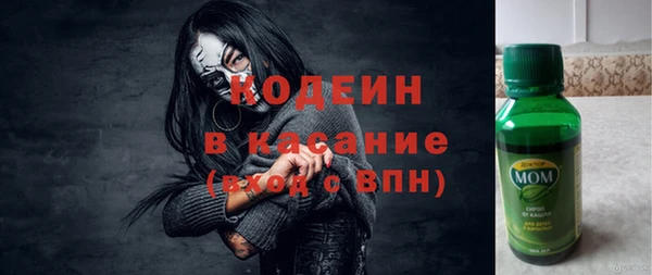 гидра Богданович