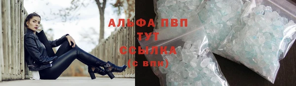 гидра Богданович