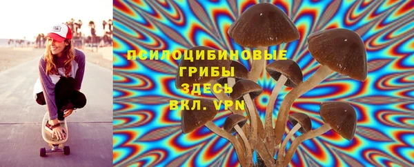 синтетический гашиш Богородск