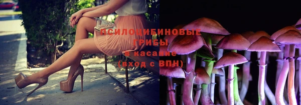 каннабис Богородицк