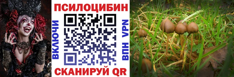 Псилоцибиновые грибы GOLDEN TEACHER  как найти   Ершов 